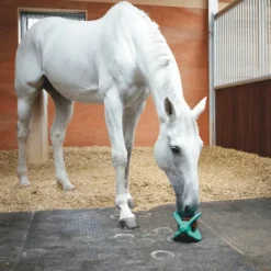 Bizzy Horse Support Bizzy Ball