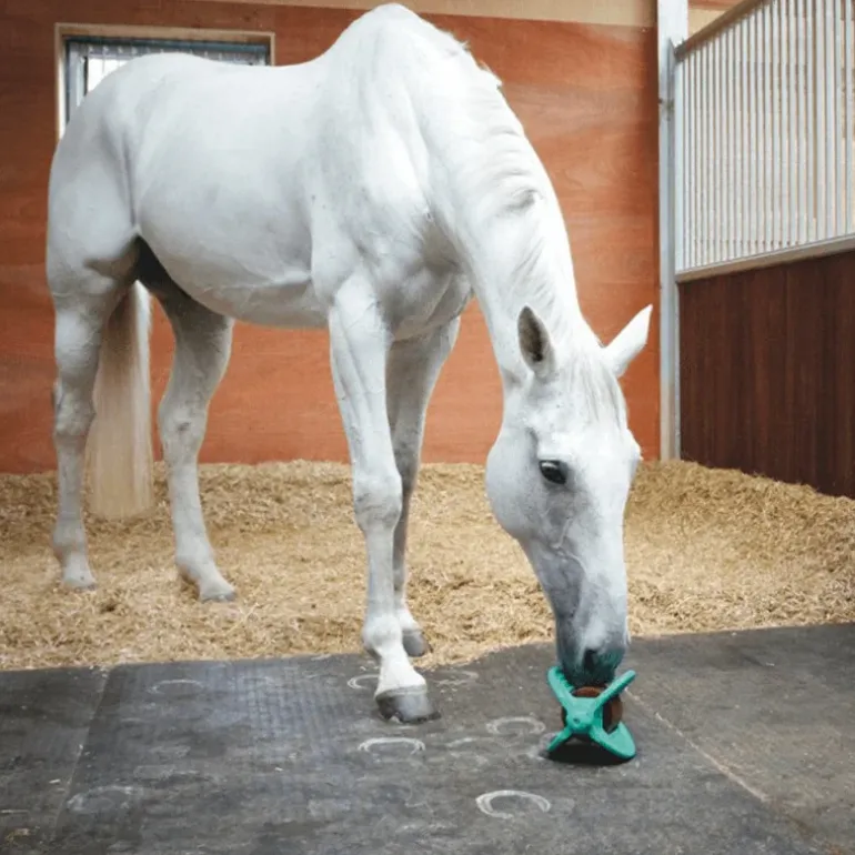 Bizzy Horse Support Bizzy Ball