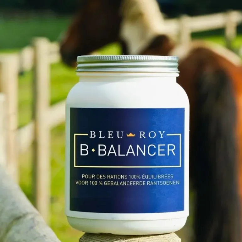 Bleu-Roy B-Balancer