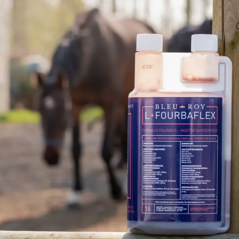 Bleu-Roy L-Fourbaflex