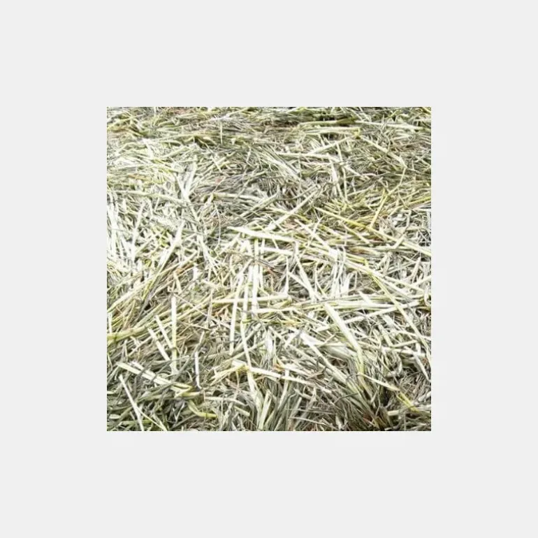 CGP Horse Feed Enrubanné Leader's Spirit