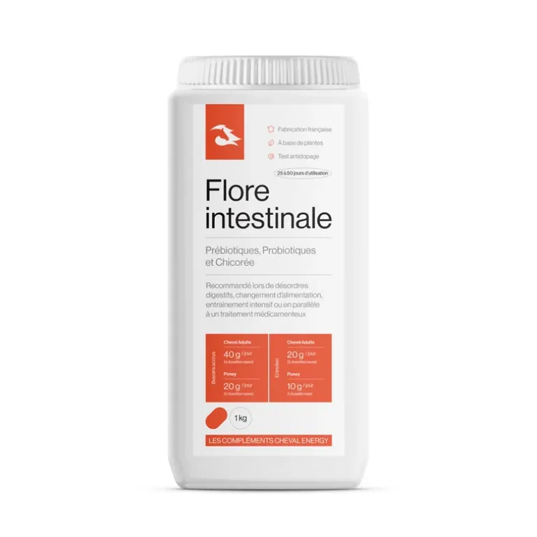 Cheval Energy Flore Intestinale