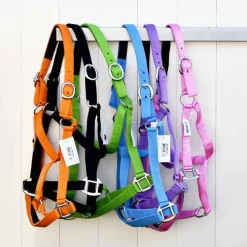 Cheval Energy Licol en Nylon - Bleu Roi