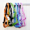 Cheval Energy Licol en Nylon - Rose