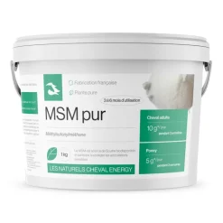 Cheval Energy MSM