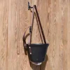 Cheval Energy Panier de Jeûne