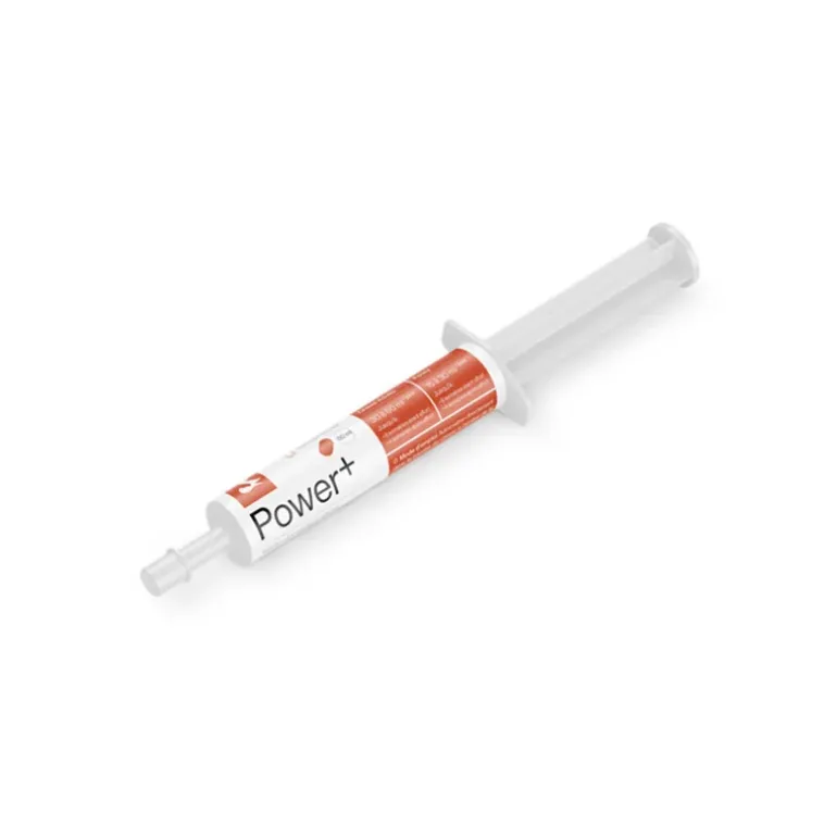 Cheval Energy Power+ Seringue Booster