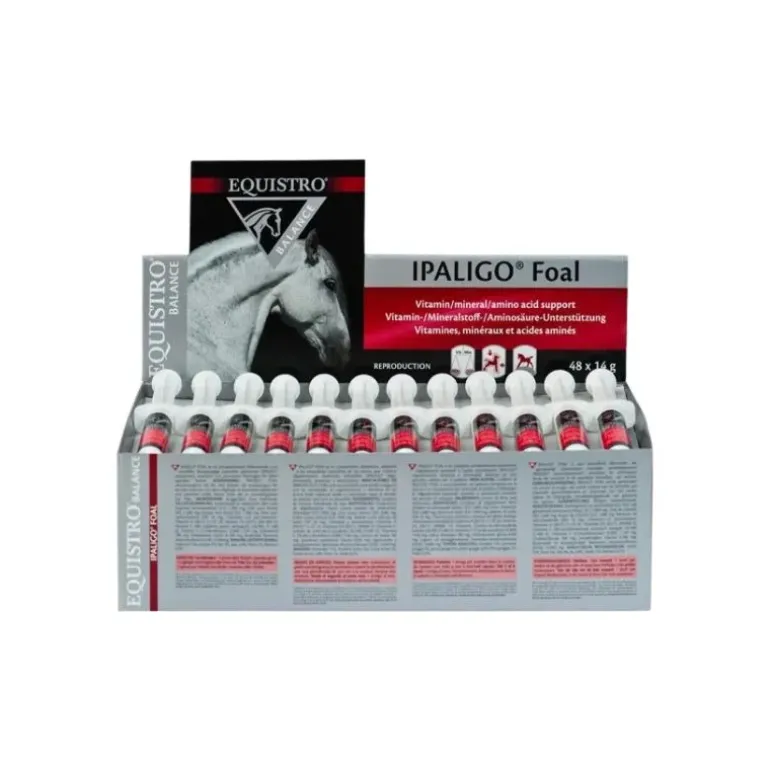 Equistro Ipaligo Foal