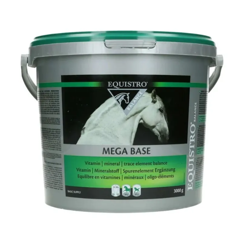 Equistro Mega Base