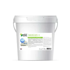 ESC Laboratoire Muscles+
