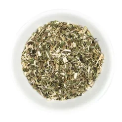 Hilton Herbs Echinacee