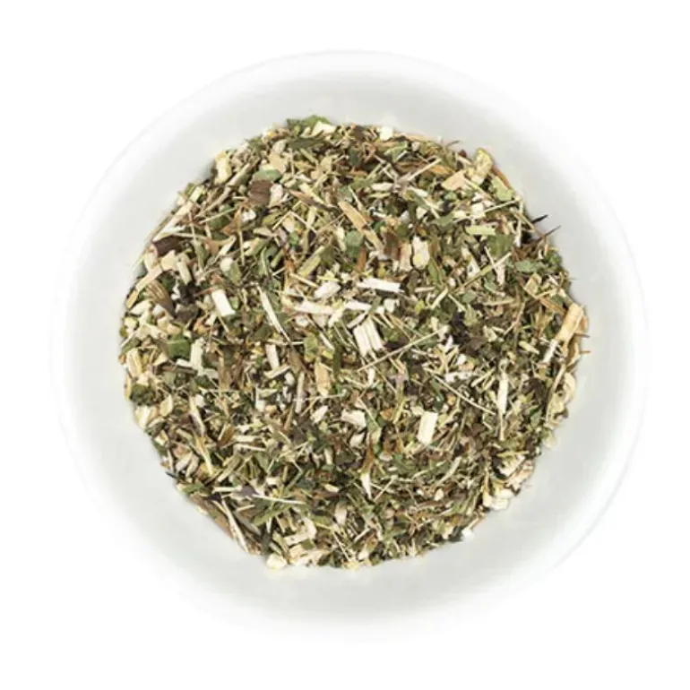 Hilton Herbs Echinacee