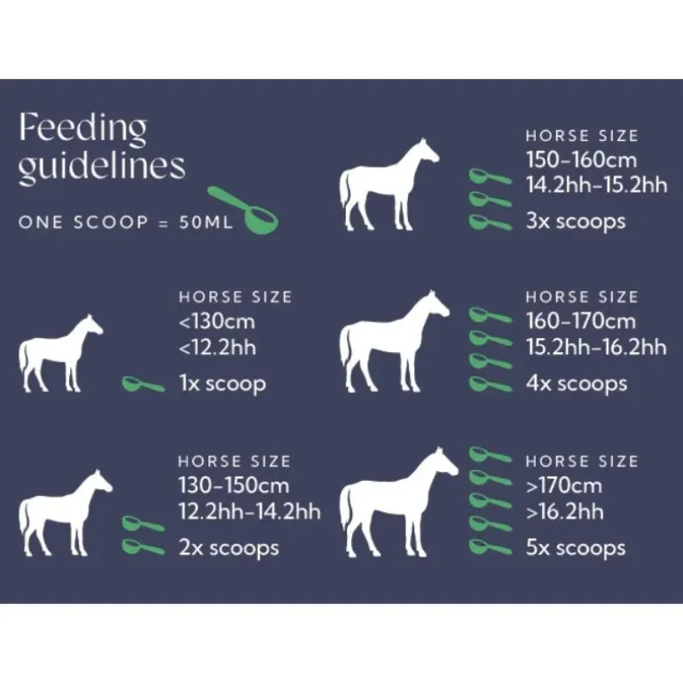 Hilton Herbs Senior Horse / Senior Horse Gold