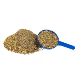 Hilton Herbs Skin Power (Gale Defender)