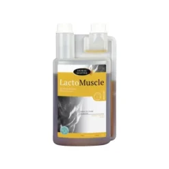 Horse Master Lactomuscle