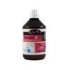 Horse Master Verutex A