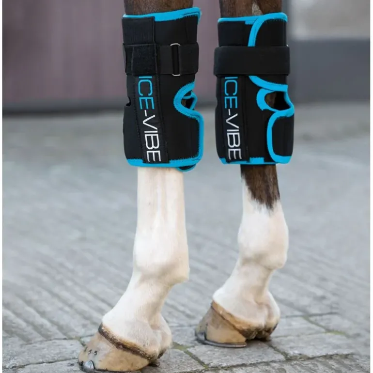 Horseware Ice Vibe Guetre Cheval