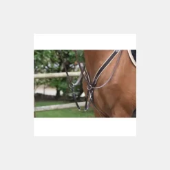 Jump'In Collier de Chasse Élastique et Martingale Noisette