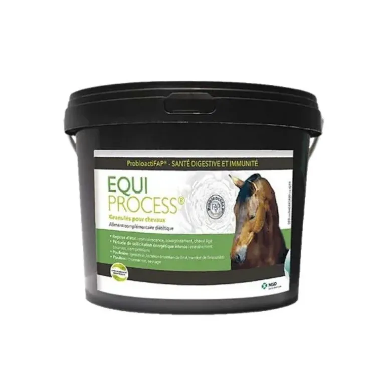 MSD Equi Process