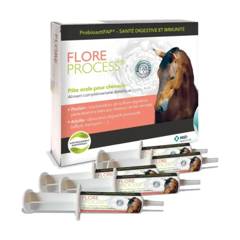 MSD Flore Process