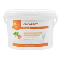 Or Vet Or Carrot Friandise Cheval