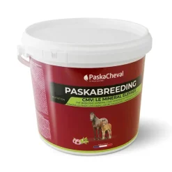 PaskaCheval Paskabreeding CMV Cheval