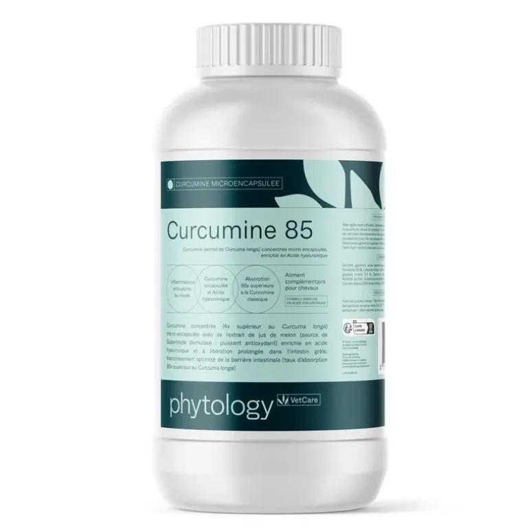 Phytology VetCare Curcumine 85 Curcuma Cheval