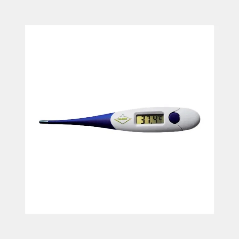 Thermomètre Électronique