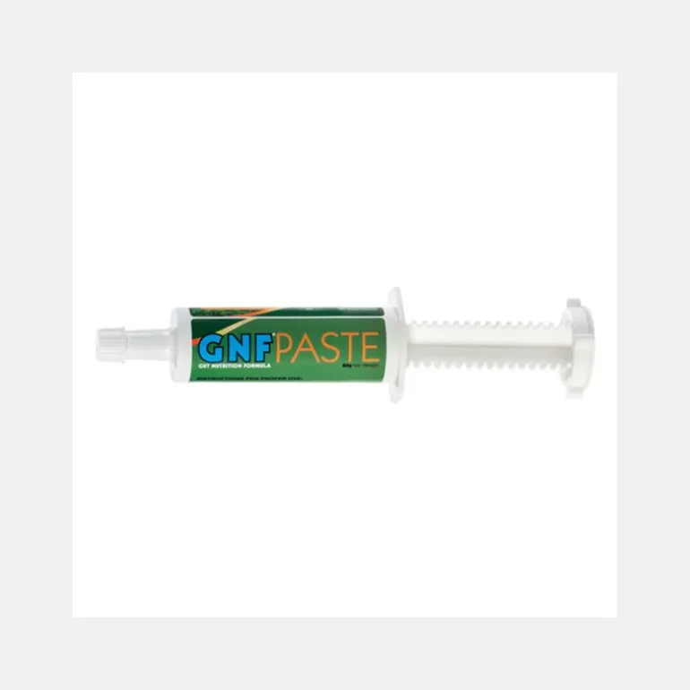 TRM GNF Paste Ulcère Cheval