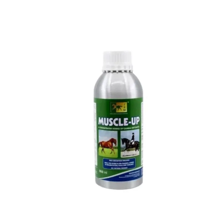 TRM Muscle Up Gamma Oryzanol Développement Musculaire Cheval